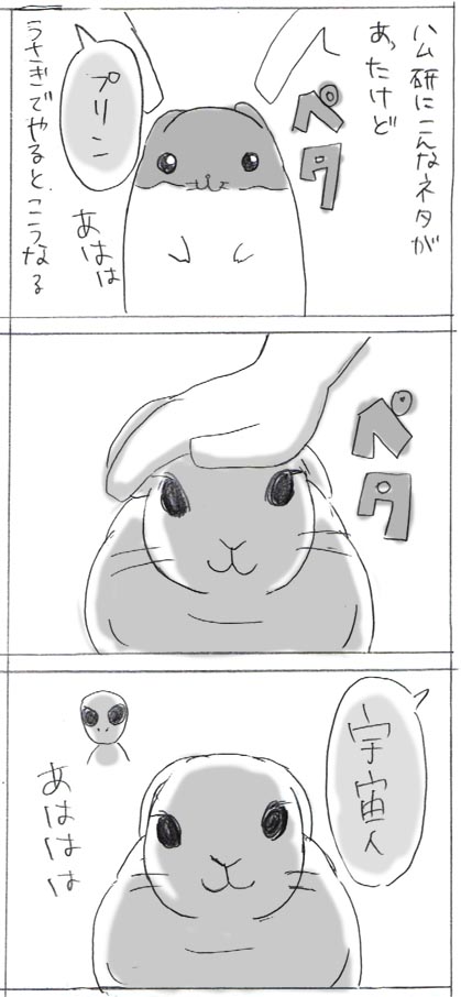 ６ 一発芸 動物web漫画